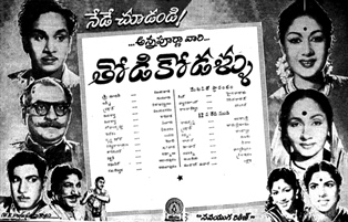 Thodi Kodallu