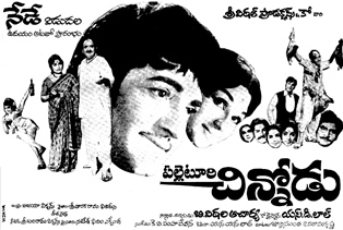 Palleturi Chinnodu
